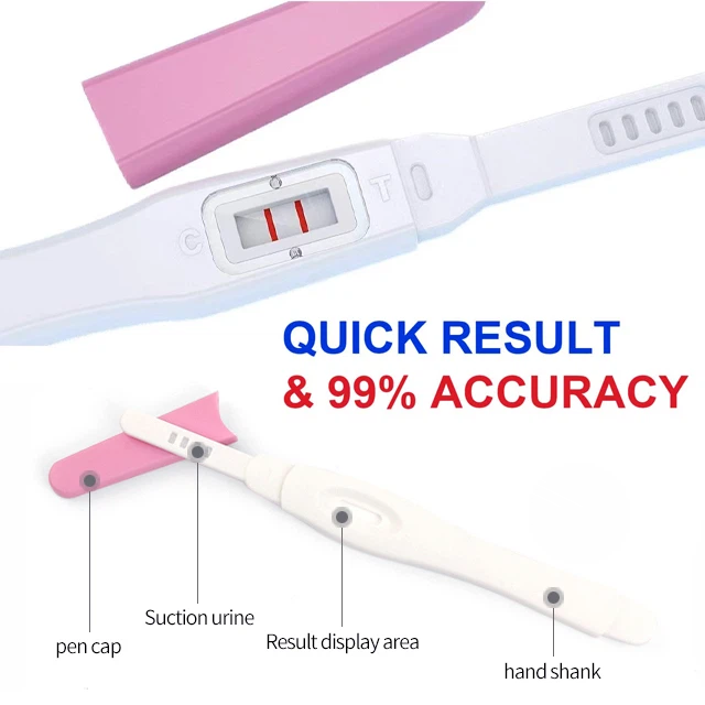 Pregnancy Hcg Strip Test Supplier